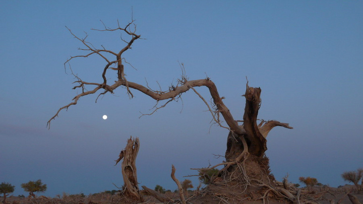 AG亚娱集团官方