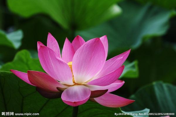 AG亚娱集团:“清流节目”翻红的背后是综艺节目生态持续向好