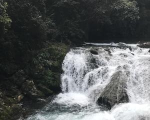 AG亚娱集团官方