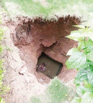 AG亚娱集团官方