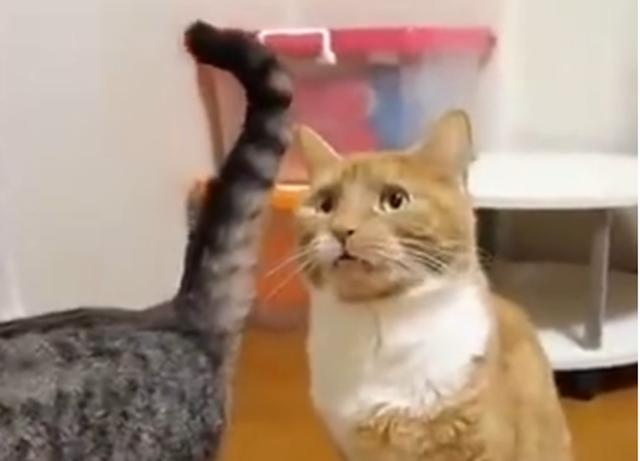 如何让全程记录成为城管改善形象契机?_时事政治_中公教育网‘AG亚娱集团官方’(图1) AG亚娱集团