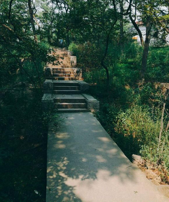 AG亚娱集团官方