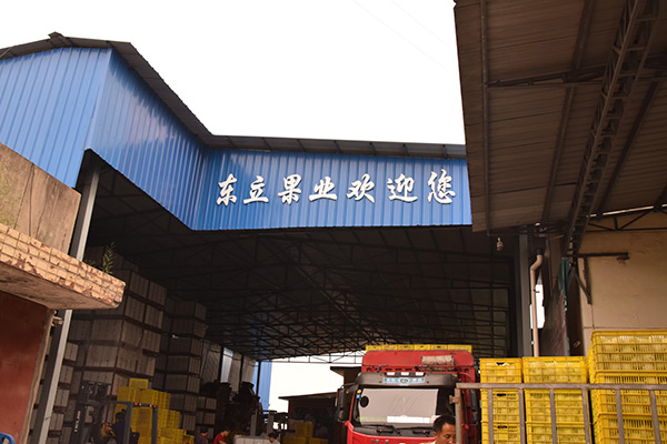 省委第一巡视组到市纪委监委调研指导工作-ag亚娱官网(图1) AG亚娱集团