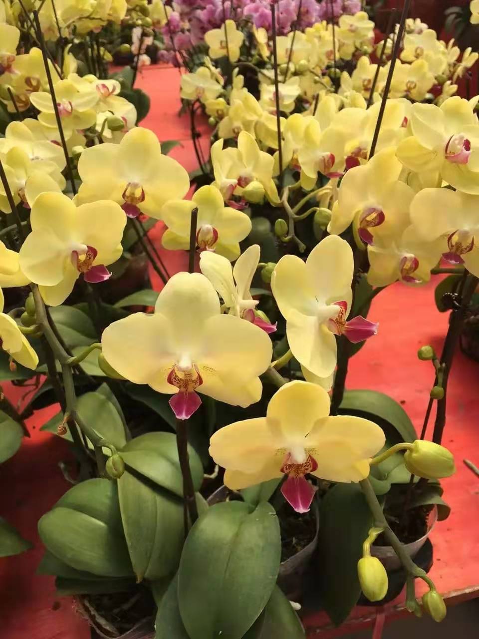 ‘AG亚娱集团官方’山东威海应急“四举措”打好疫情阻击战(图3) AG亚娱集团官方