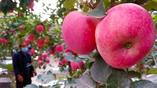 
疆内外16家媒体采访团来阿克苏开展专题宣传报道运动-AG亚娱集团(图2)