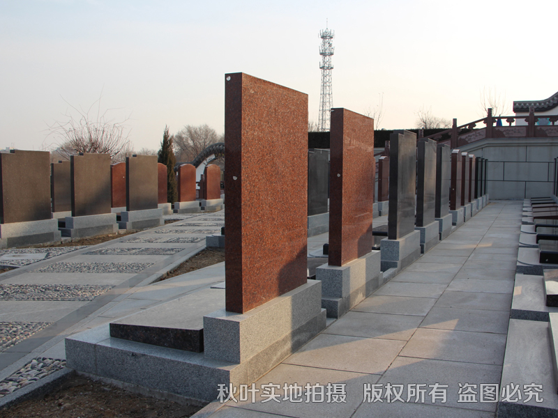 【ag亚娱官网】进博会,中国引领世界开放潮流_时事政治_中公教育网(图2) ag亚娱官网