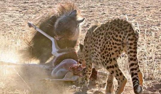 心疼江苏考生:一本线和二本线只差30多分 咋报“ag亚娱官网”(图2) AG亚娱集团官方