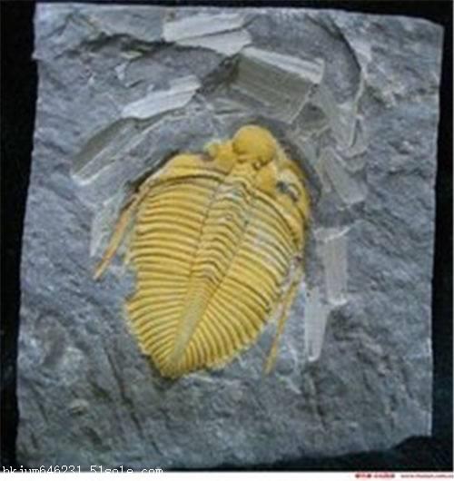 AG亚娱集团官方