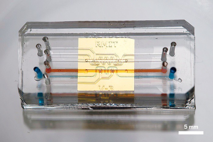 北工大都柏林国际学院中外名师携手助力：AG亚娱集团官方