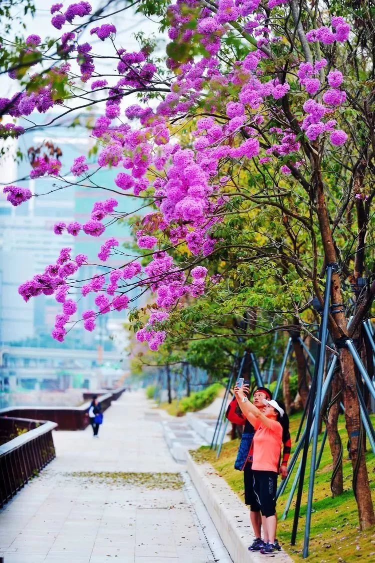 适应新常态 骏骅商学院携手企业家共商大计“ag亚娱官网”