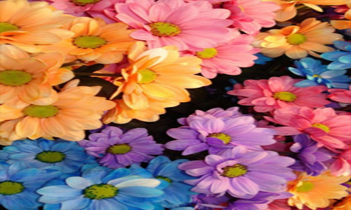 AG亚娱集团:正阳县:真阳街道党员干部扛起政治责任在疫情防控一线践行初心使命