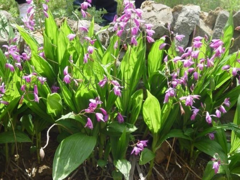 ‘AG亚娱集团官方’群众工作离不开讲法治_时事政治_中公教育网