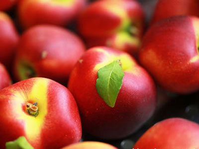 头条流量低潮期，新手小白如何进场？这三点写作偏向会很适合你-ag亚娱官网