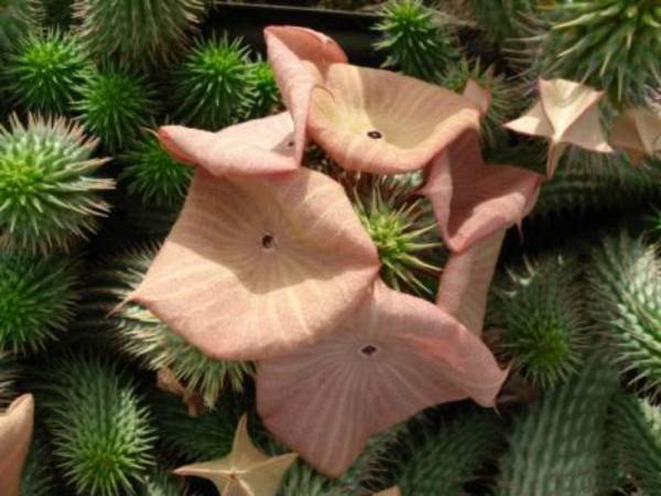 AG亚娱集团官方