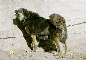 AG亚娱集团:宜昌各地3.29中小学消防安全教育精彩纷呈(图2) AG亚娱集团