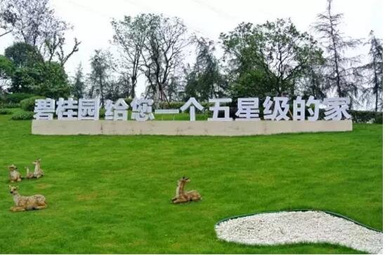 ag亚娱官网-强推政务APP、公众号扰民_时事政治_中公教育网