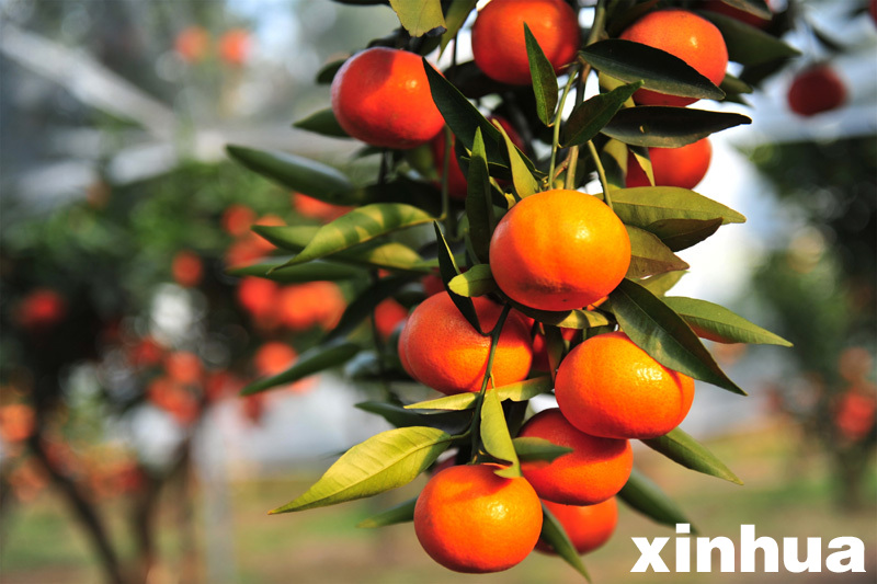 AG亚娱集团官方