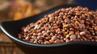 AG亚娱集团官方