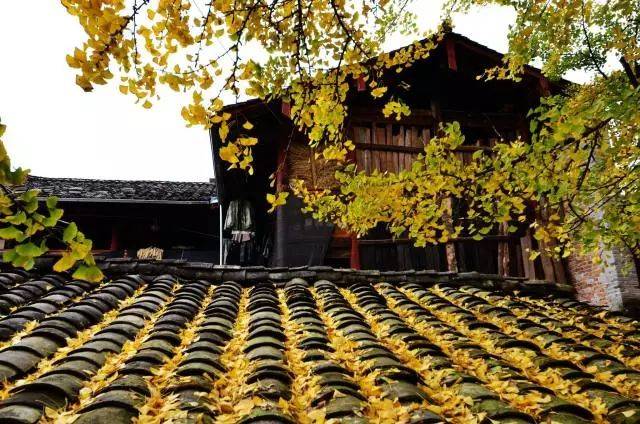 AG亚娱集团官方