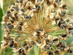 “AG亚娱集团官方”“家乡”是他们记忆中一个模糊的影子