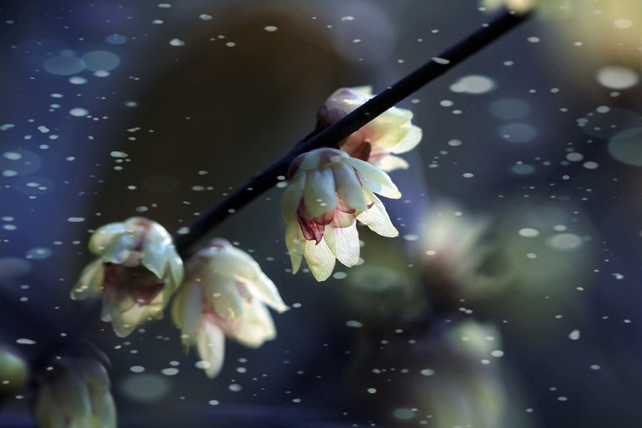 ‘ag亚娱官网’“禁酒令”推行要加强监督_时事政治_中公教育网