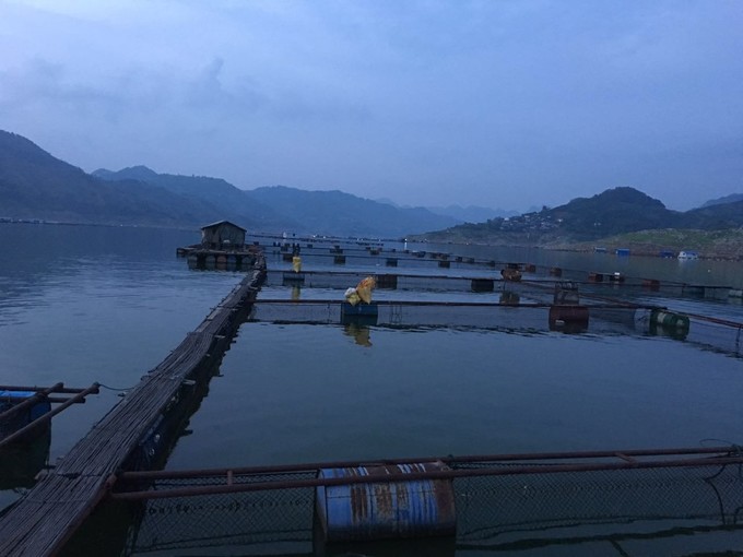 财政部提前下达2020年科技馆免费开放补助资金预算|AG亚娱集团