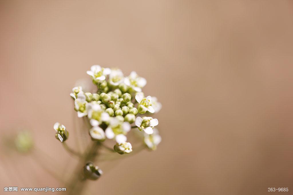 FINCAD亚太有限公司在北京金融街开设办事处‘AG亚娱集团’