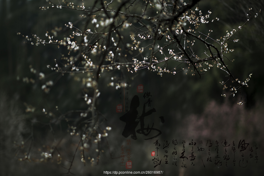 AG亚娱集团官方